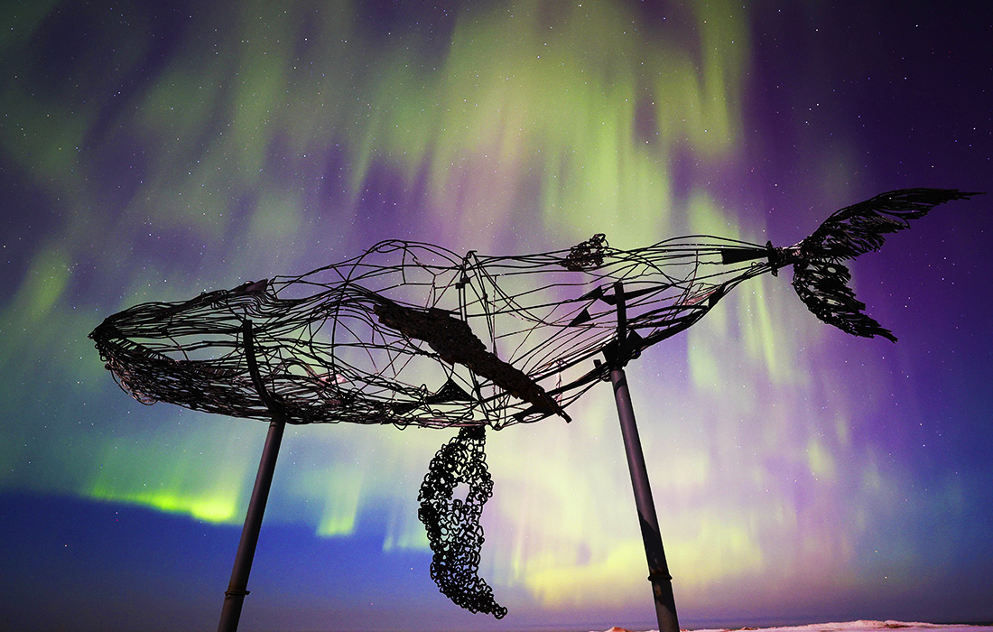 Северное сияние в Ленинградской области