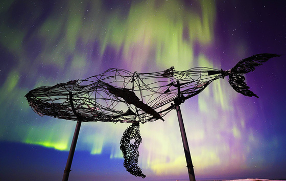 Лучшие фото недели