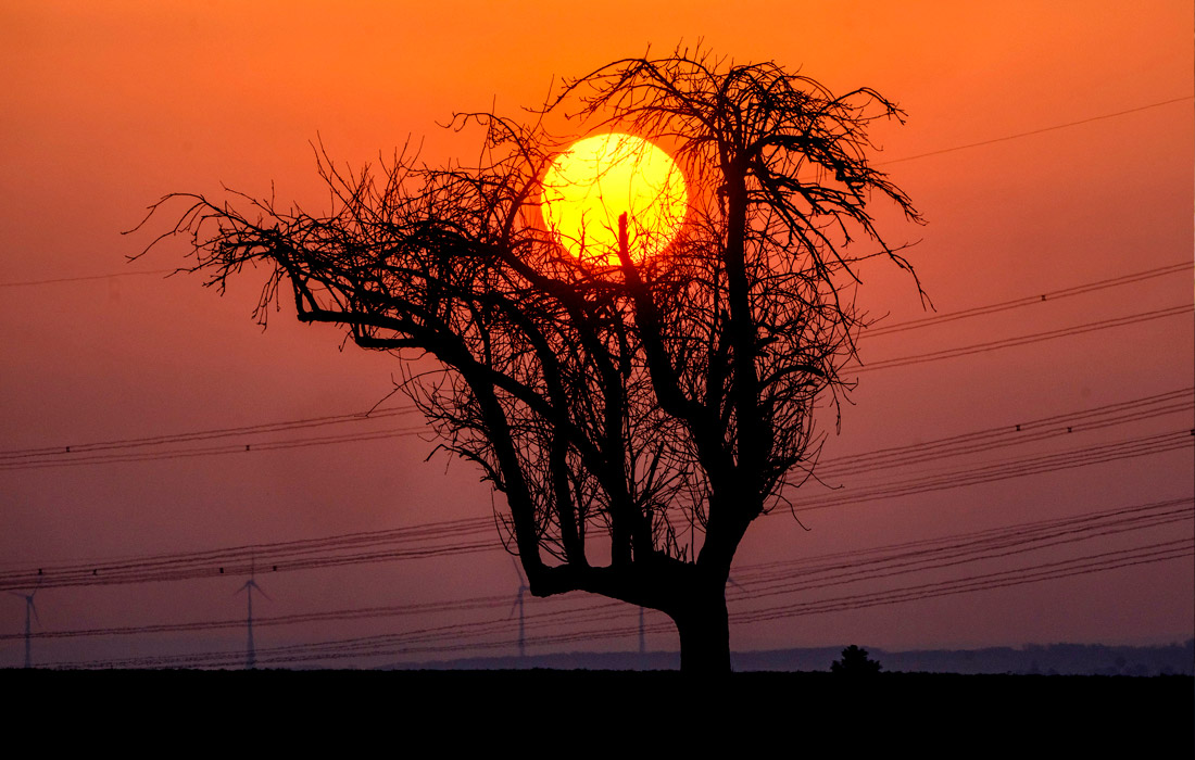 Восход солнца на окраине Франкфурта, Германия