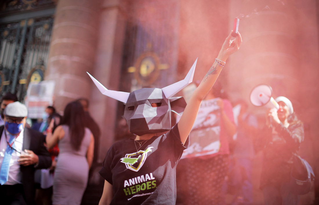 Активисты движения за права животных провели в Мехико акцию протеста против корриды