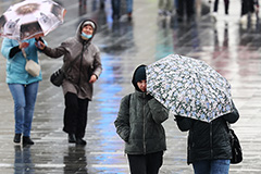 Сильный ветер в Москве повалил за двое суток более 60 деревьев