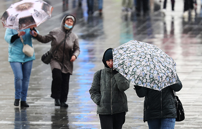 Сильный ветер в Москве повалил за двое суток более 60 деревьев