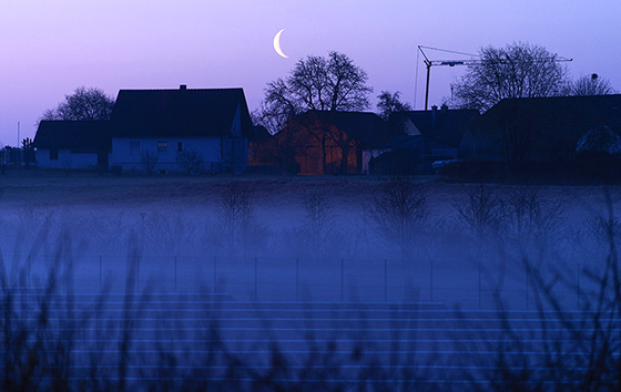 Лучшие фото недели