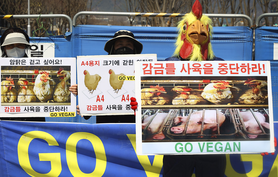 Митинг за права животных в Сеуле
