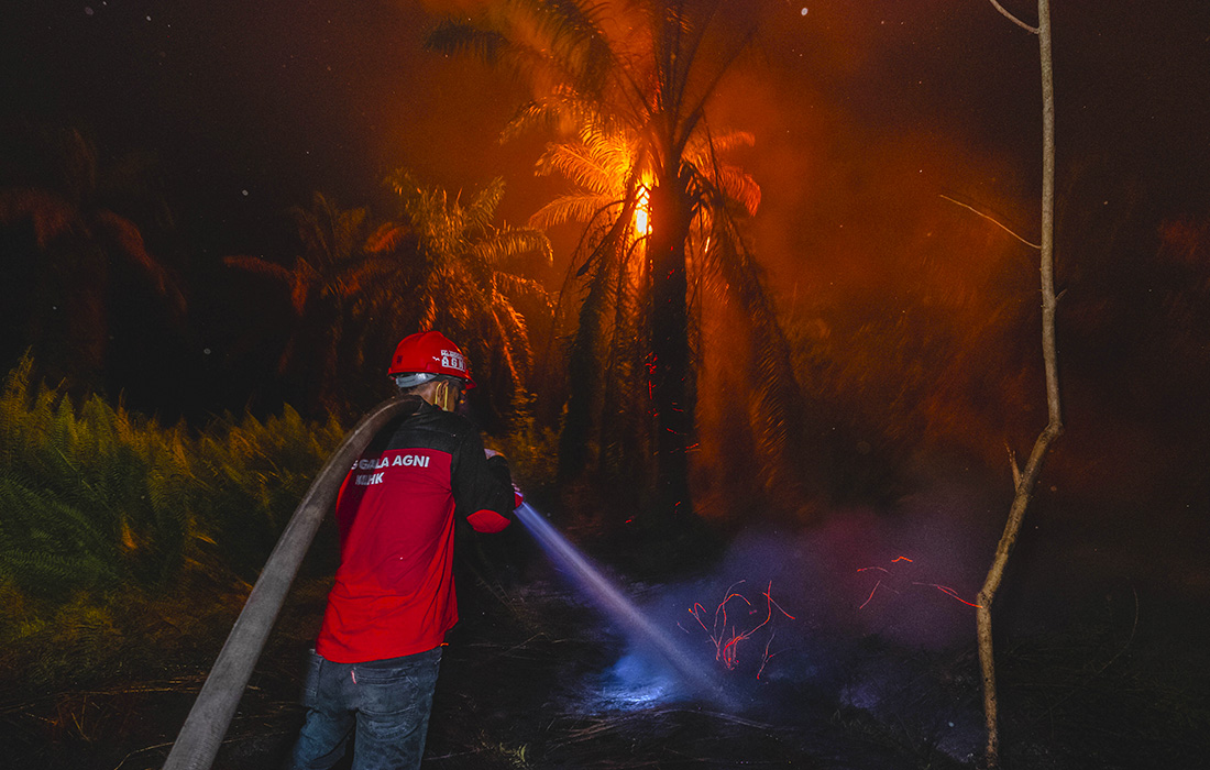 Пожарные тушат горящие торфяники в деревне Танджунг Куду, Индонезия