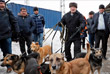 Политик посещает приют для собак в Москве. Январь 2018 года.