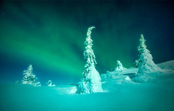 Лучшие фото недели