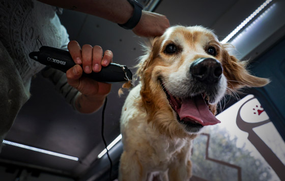 Фотохроника 14 апреля