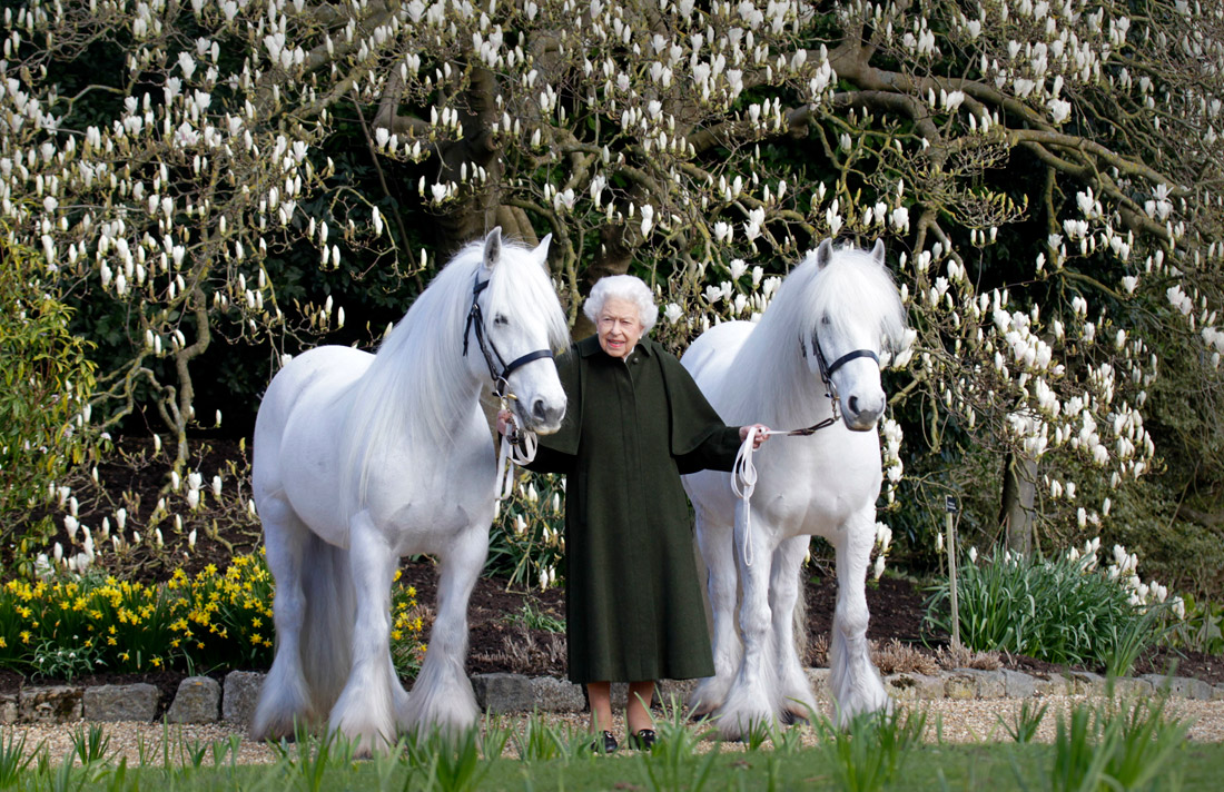 Королеве Великобритании исполняется 96 лет. В официальном аккаунте королевской семьи была опубликована фотография Елизаветы II с двумя белыми пони.
