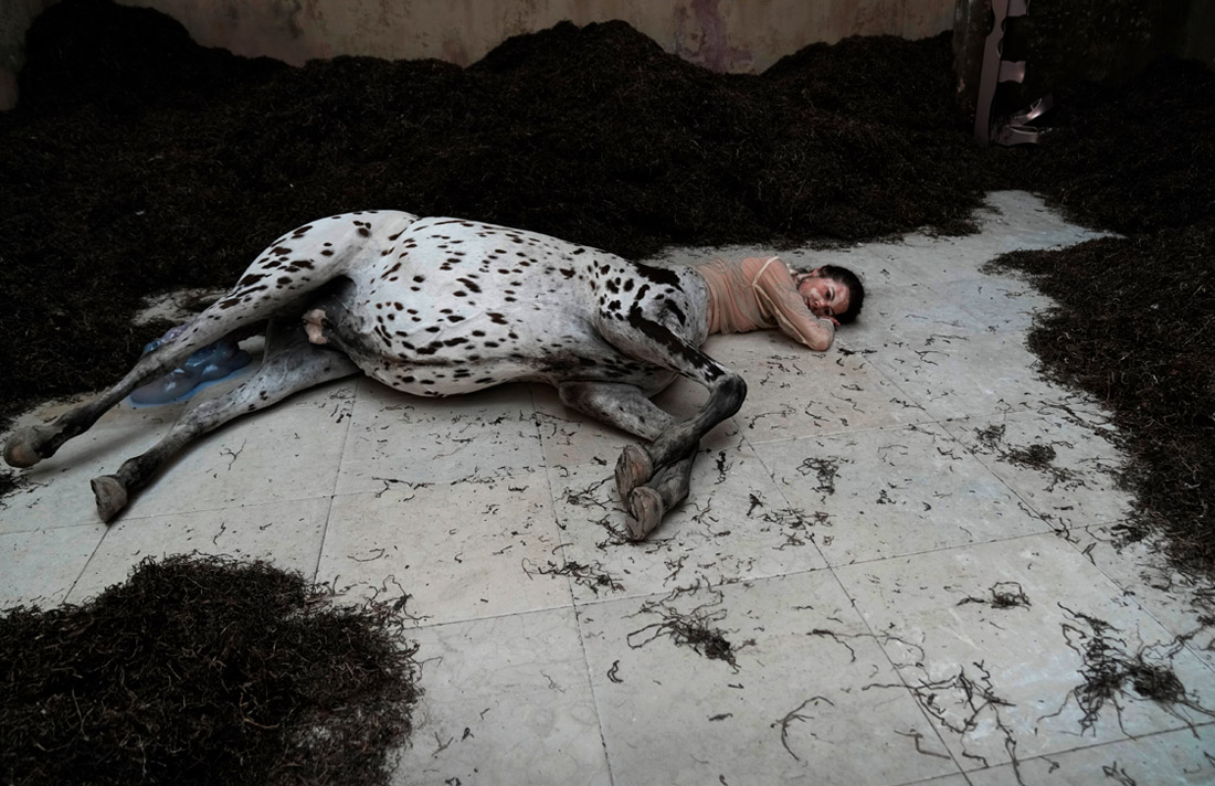 Фрагмент инсталляции "Мы ходили по Земле" в павильоне Дании