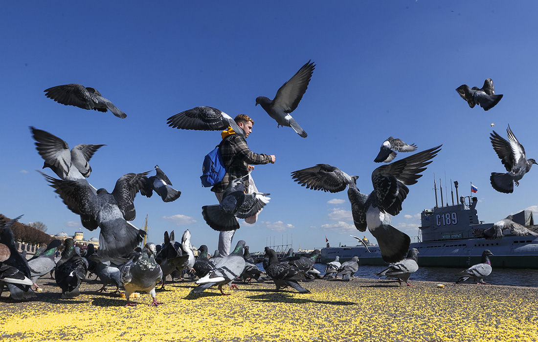 Весенняя погода в Санкт-Петербурге