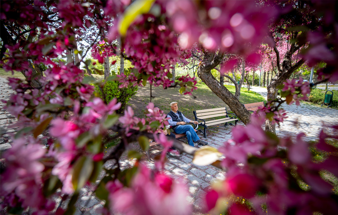Житель Анкары (Турция) отдыхает в парке