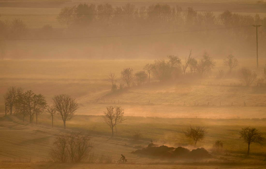 Туманное утро во Франкфурте