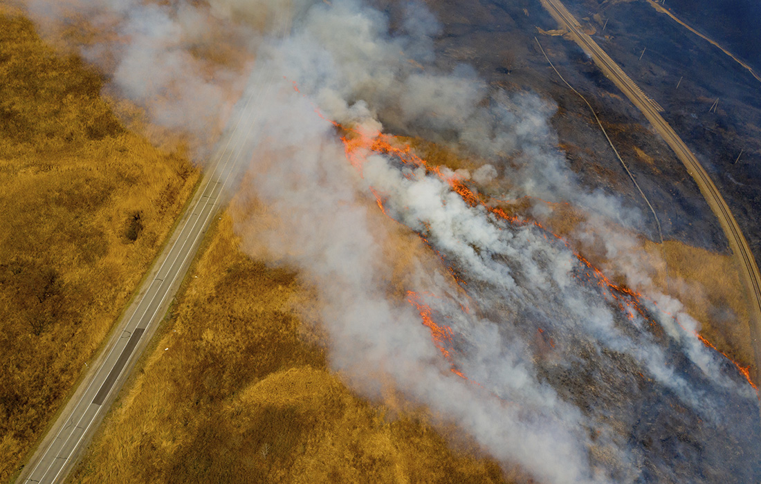 Природные пожары в Приморском крае