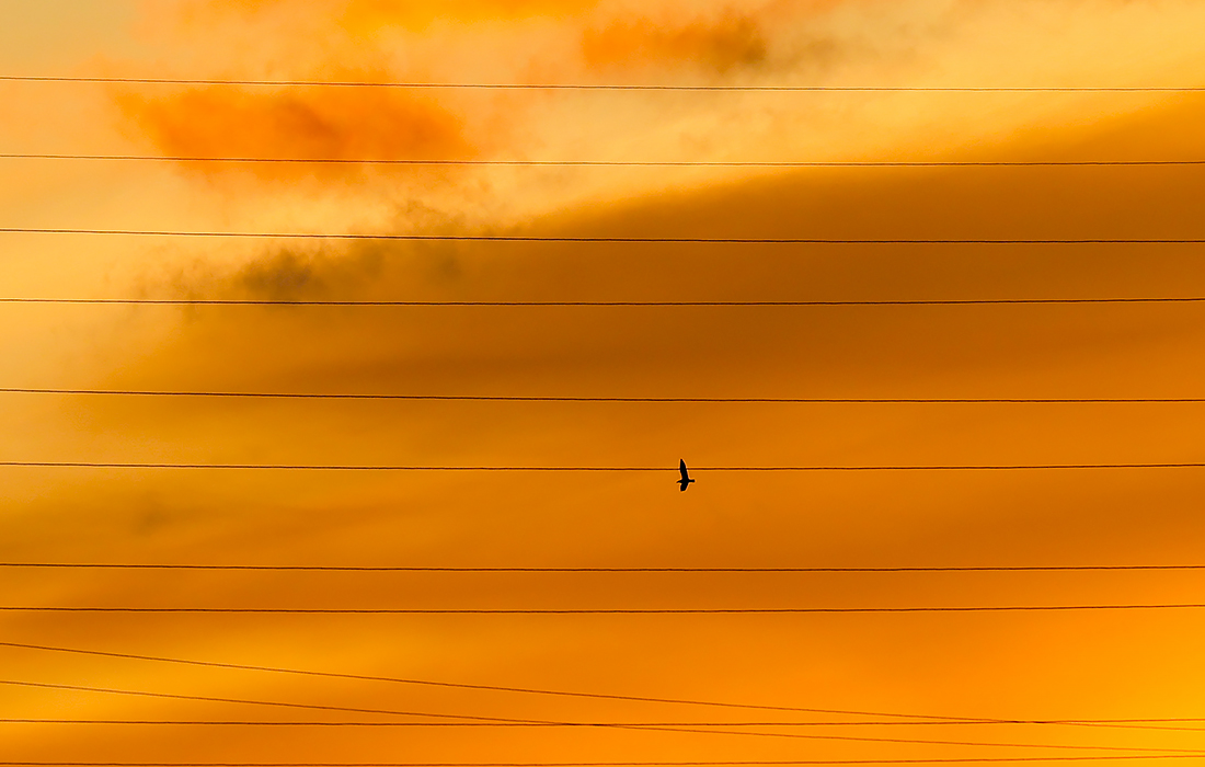 Восход солнца над Нью-Йорком