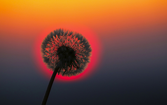 Лучшие фото недели