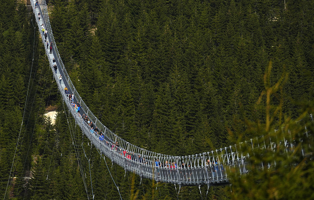 Самый длинный подвесной мост в мире открылся в деревне Долни Морава в Чехии