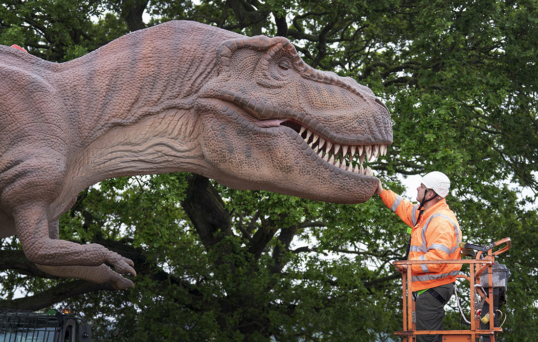 Фигура тираннозавра Рекса установлена в Парке дикой природы Йоркшира