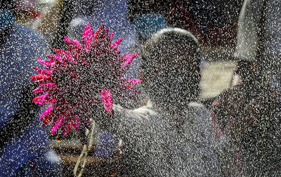 Фотохроника 16 мая