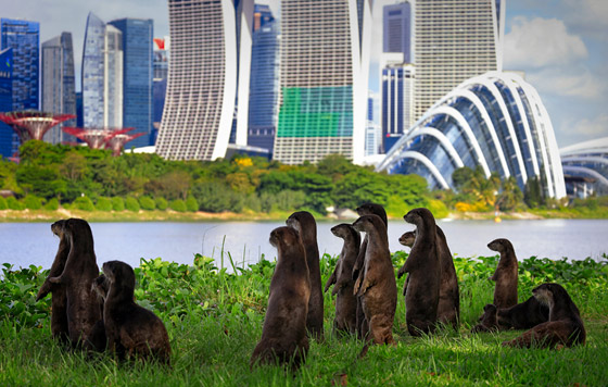 Фотохроника 17 мая