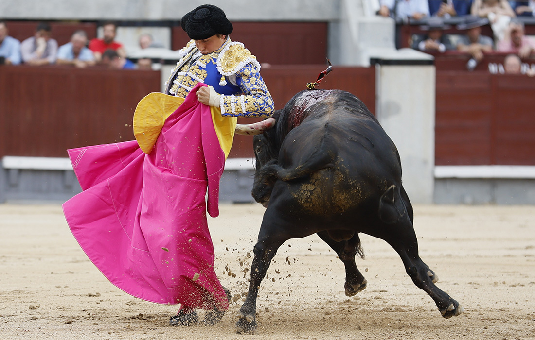 Испанский тореадор на ярмарке Сан-Исидро в Мадриде