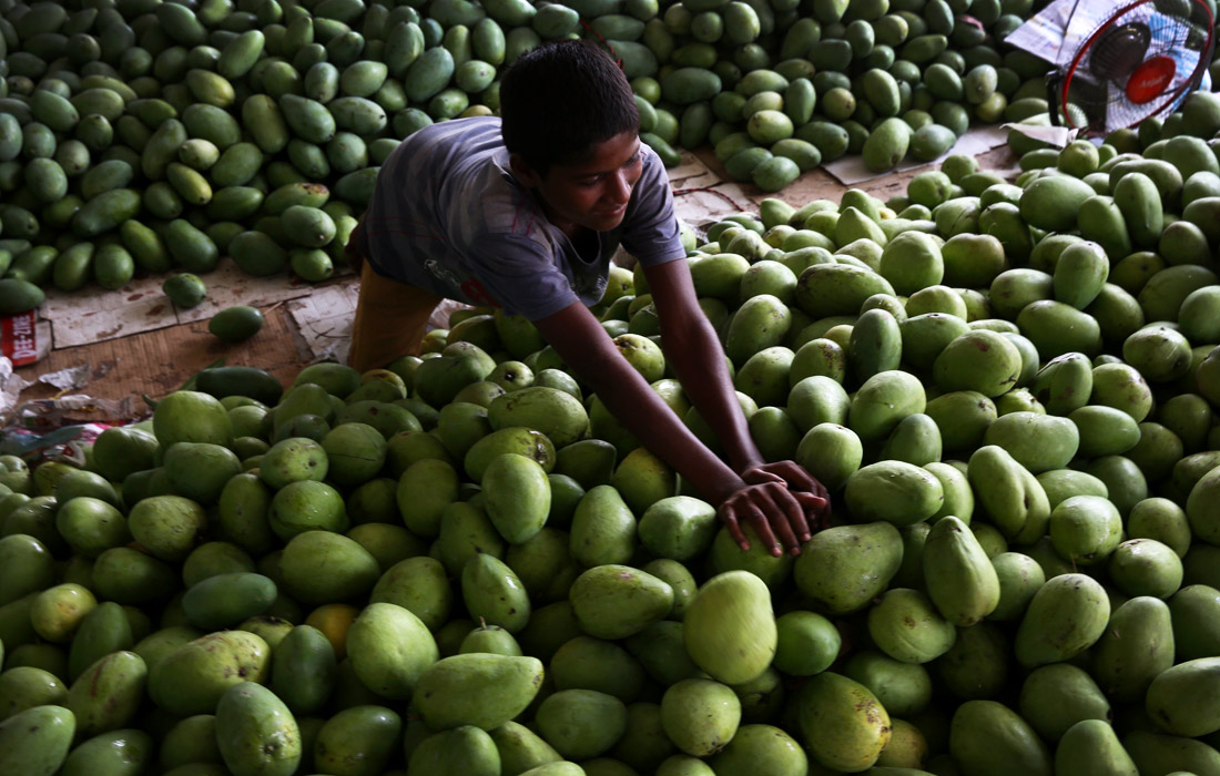 Продажа манго на рынке на окраине Бангалора в Индии