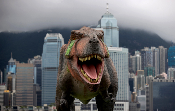 Фотохроника 6 июня