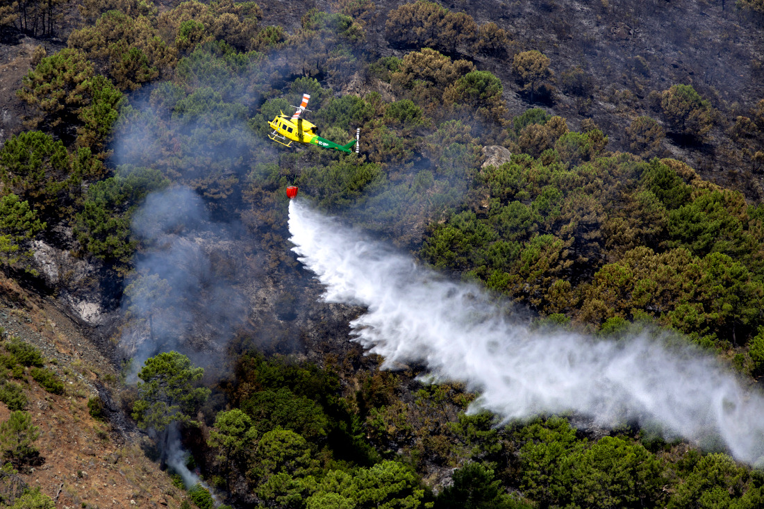 Лесной пожар в испанской Малаге