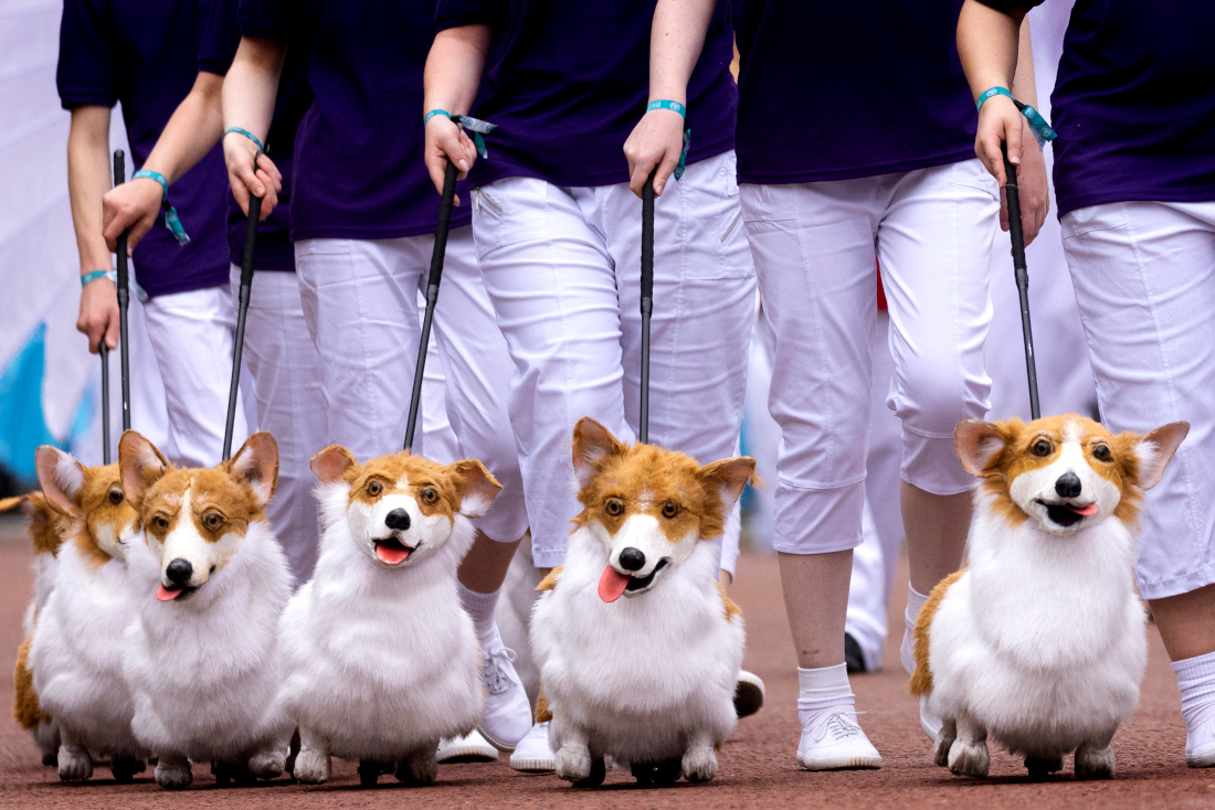 Кукольные корги на юбилее королевы Елизаветы II в Лондоне