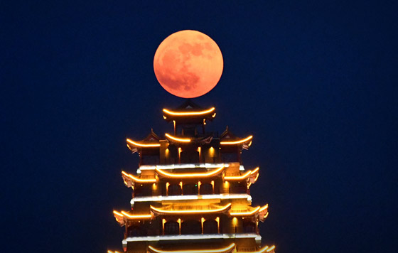 Фотохроника 14 июня