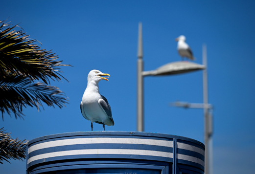 Фотохроника 15 июня