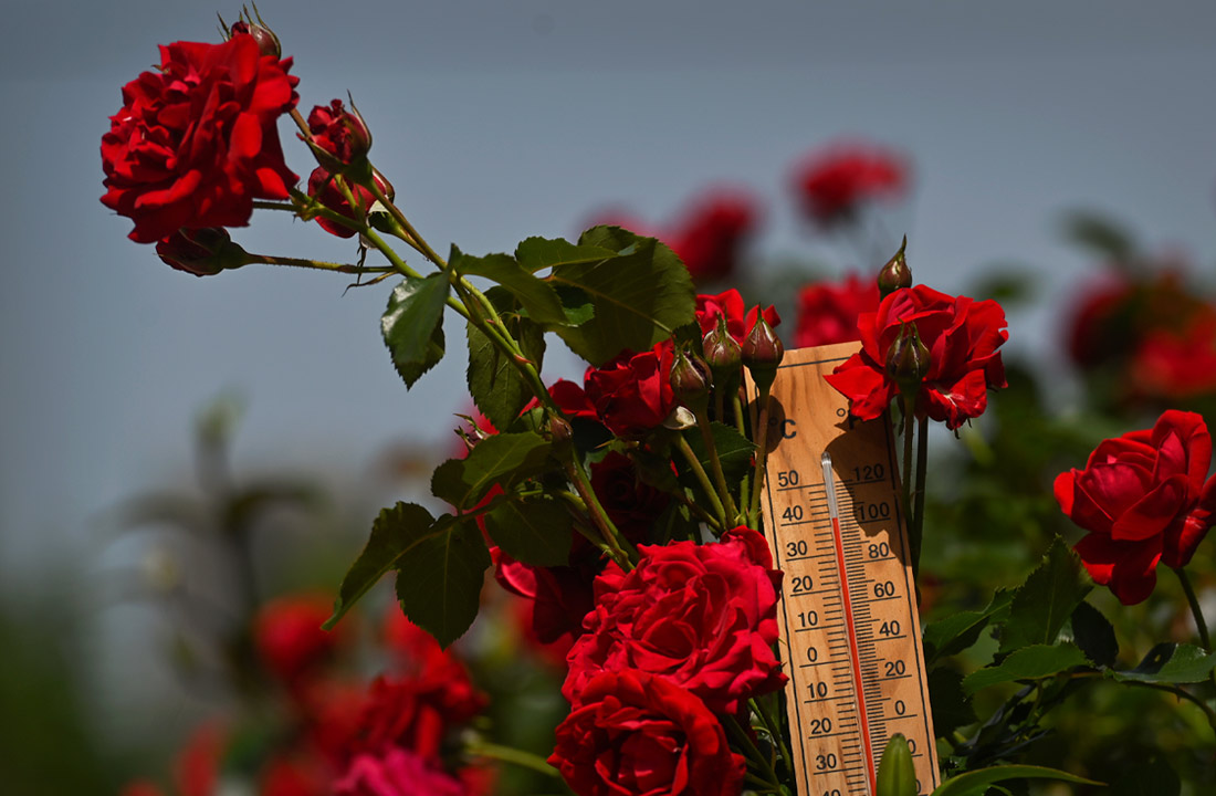 Термометр показывает температуру в городе Жешув, Польша