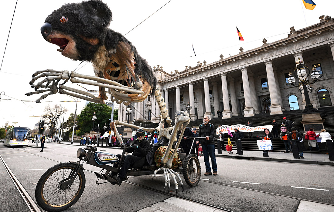 Активисты движения Extinction Rebellion провели акцию возле здания парламента в Мельбурне