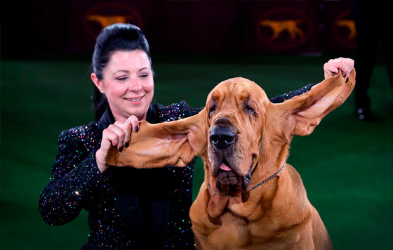 Фотохроника 23 июня