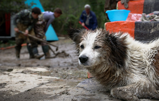 Последствия непогоды в Сочи