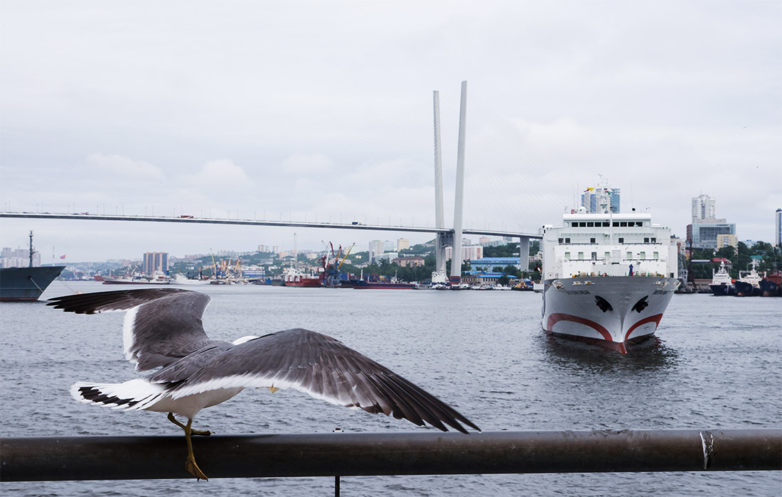 Паромное сообщение между Южной Кореей и Владивостоком частично возобновлено после двухлетнего перерыва