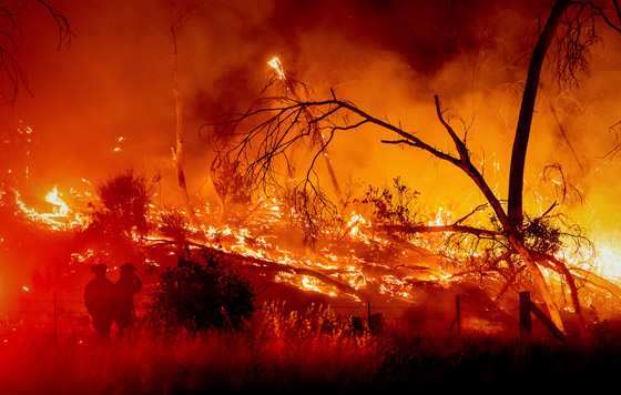 Фотохроника 5 июля
