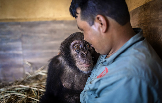 Фотохроника 7 июля
