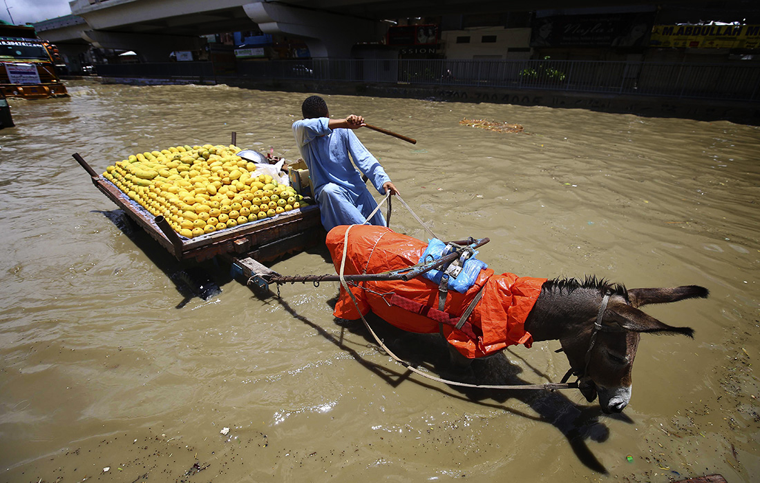 Сильные муссонные дожди унесли десятки жизней в Пакистане