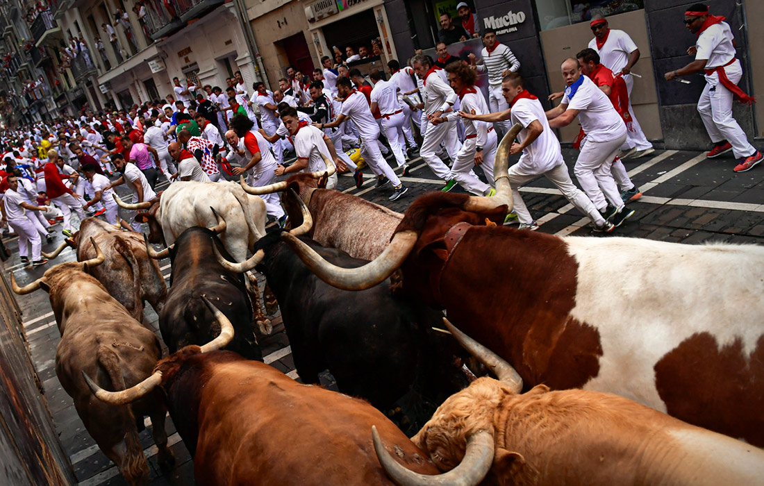 Самым зрелищным событием Сан-Фермин является энсьерро - бег от 12 разъяренных быков по узким улочкам Памплоны