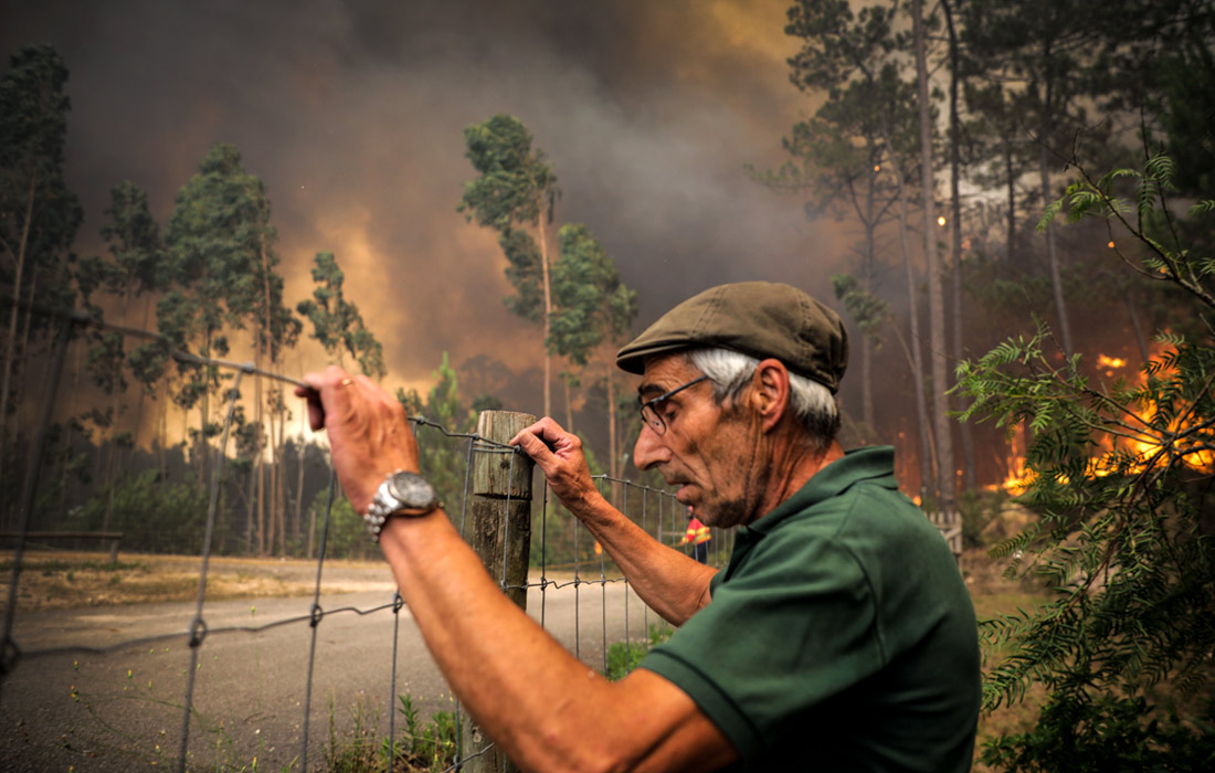 Португалия регулярно страдает от крупных разрушительных пожаров. В 2017 году в результате неконтролируемых лесных возгораний погибли более 100 человек.