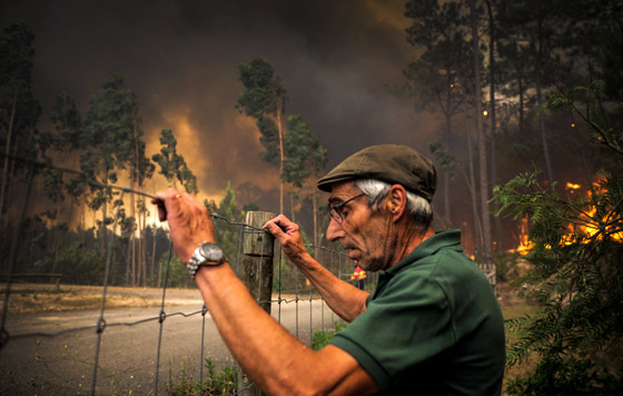 Лесные пожары в Португалии