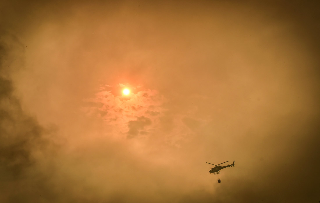 Португальские власти направили десятки специально оборудованных самолетов и вертолетов для содействия работе наземным бригадам пожарных. Евросоюз активировал программу помощи воздушному флоту для борьбы с пожарами.