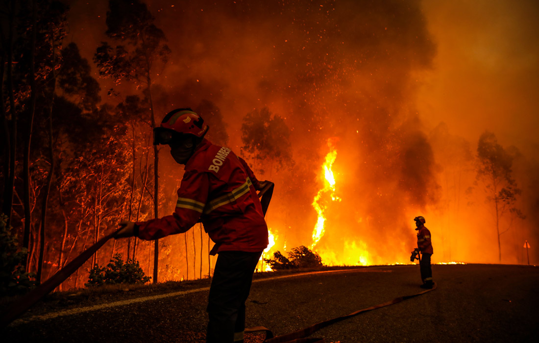 Более трех тысяч пожарных задействованы в локализации разрушительных пожаров
