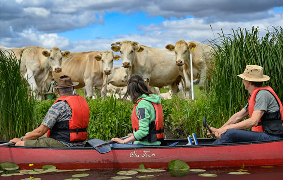 Фотохроника 15 июля