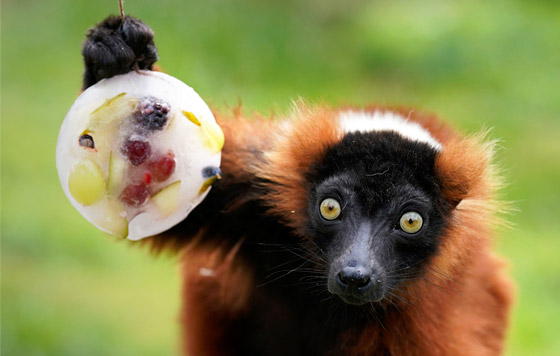 Лучшие фото недели