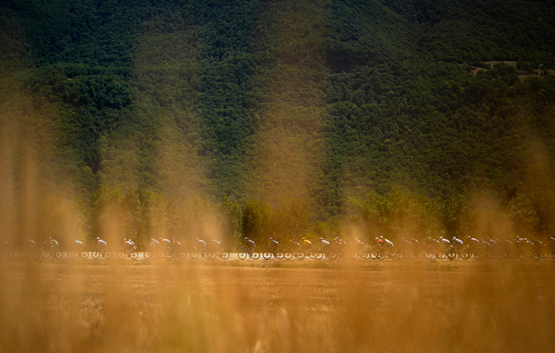 Гонщики проезжают пшеничное поле в Сент-Этьене, Франция