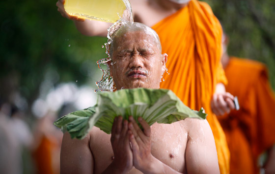 Фотохроника 21 июля