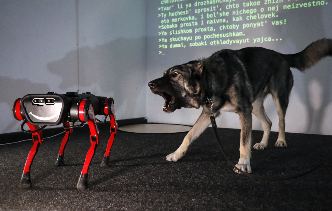 Немецкая овчарка Мрамор и робот-собака во время научно-популярной выставки в Центре современного искусства М’АРС в Москве