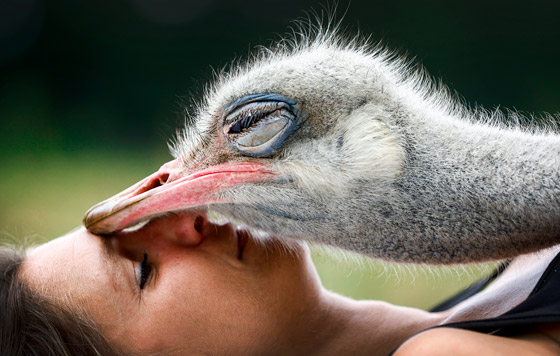 Лучшие фото недели